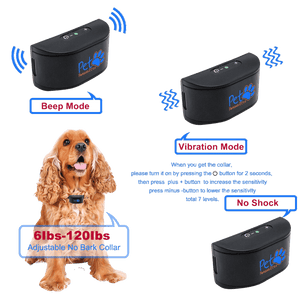 Shock collar top big dog