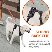 Load image into Gallery viewer, No-Pull Dog Harness, Soft &amp; Breathable Padding, Reflective, For Small to Large dogs

