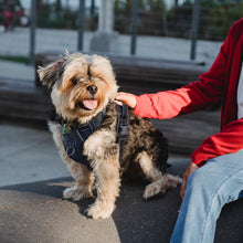 Load image into Gallery viewer, Extra-Small Dog Harness
