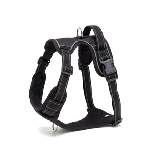 Extra-Small Dog Harness