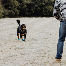 Load image into Gallery viewer, Small Dog Boots
